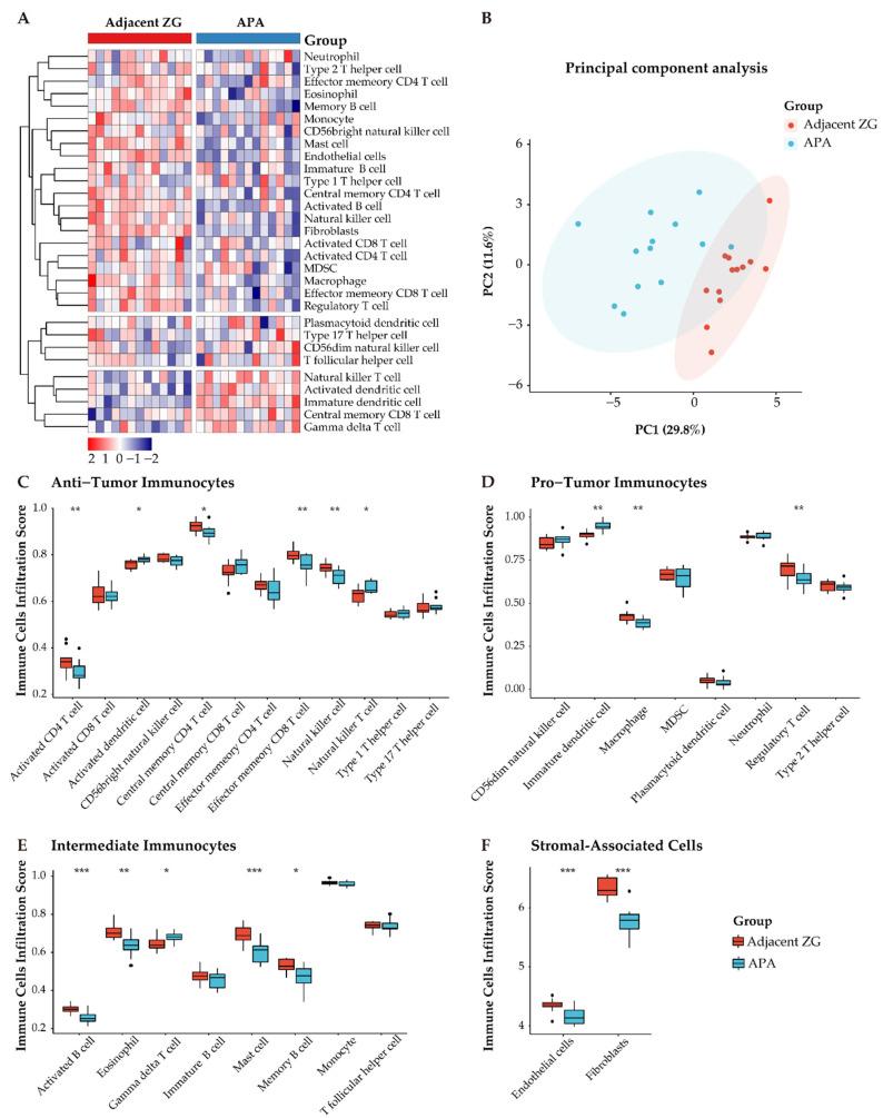https://cdn.ncbi.nlm.nih.gov/pmc/blobs/f558/8345059/bf92fc77c127/cancers-13-03716-g006.jpg