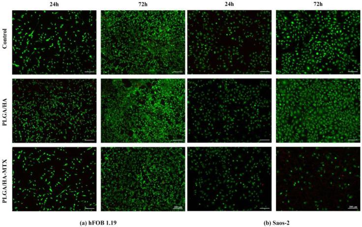 https://cdn.ncbi.nlm.nih.gov/pmc/blobs/f559/11207774/d32c748e513c/pharmaceutics-16-00754-g007.jpg