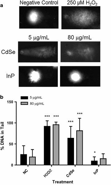 https://cdn.ncbi.nlm.nih.gov/pmc/blobs/f55a/5679359/54f1bb23c362/12951_2017_312_Fig4_HTML.jpg