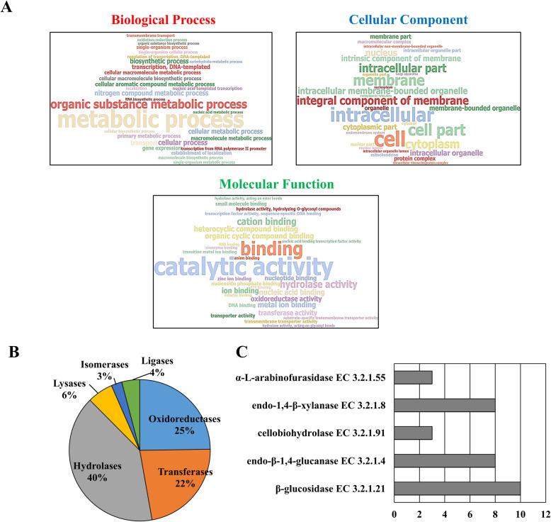 https://cdn.ncbi.nlm.nih.gov/pmc/blobs/f55c/7607812/de59d77c990f/12864_2020_7158_Fig2_HTML.jpg
