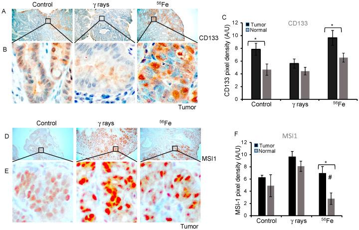 https://cdn.ncbi.nlm.nih.gov/pmc/blobs/f55d/10486545/e0b5d3379cc5/cancers-15-04240-g002.jpg