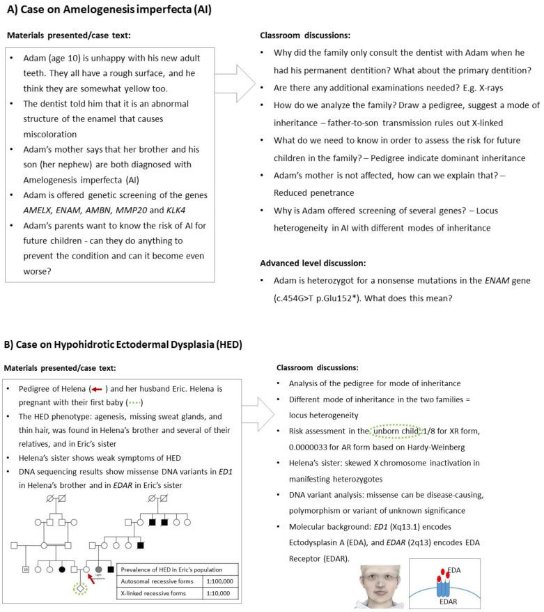 https://cdn.ncbi.nlm.nih.gov/pmc/blobs/f55e/11675337/bc76e96e5a8e/genes-15-01499-g001a.jpg