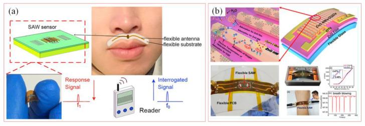 https://cdn.ncbi.nlm.nih.gov/pmc/blobs/f55f/11764421/ca92ed7ba99a/biosensors-15-00006-g009.jpg