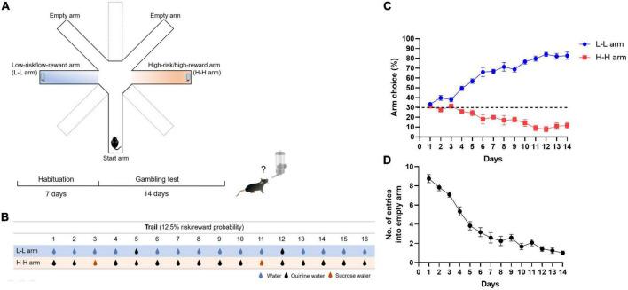 https://cdn.ncbi.nlm.nih.gov/pmc/blobs/f561/9902351/c13d4d638d59/fncel-17-1094808-g001.jpg