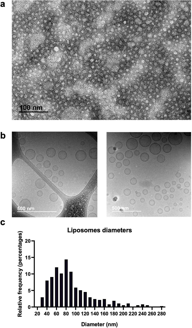 https://cdn.ncbi.nlm.nih.gov/pmc/blobs/f563/9156412/cd556f4ffb18/41563_2022_1251_Fig8_ESM.jpg