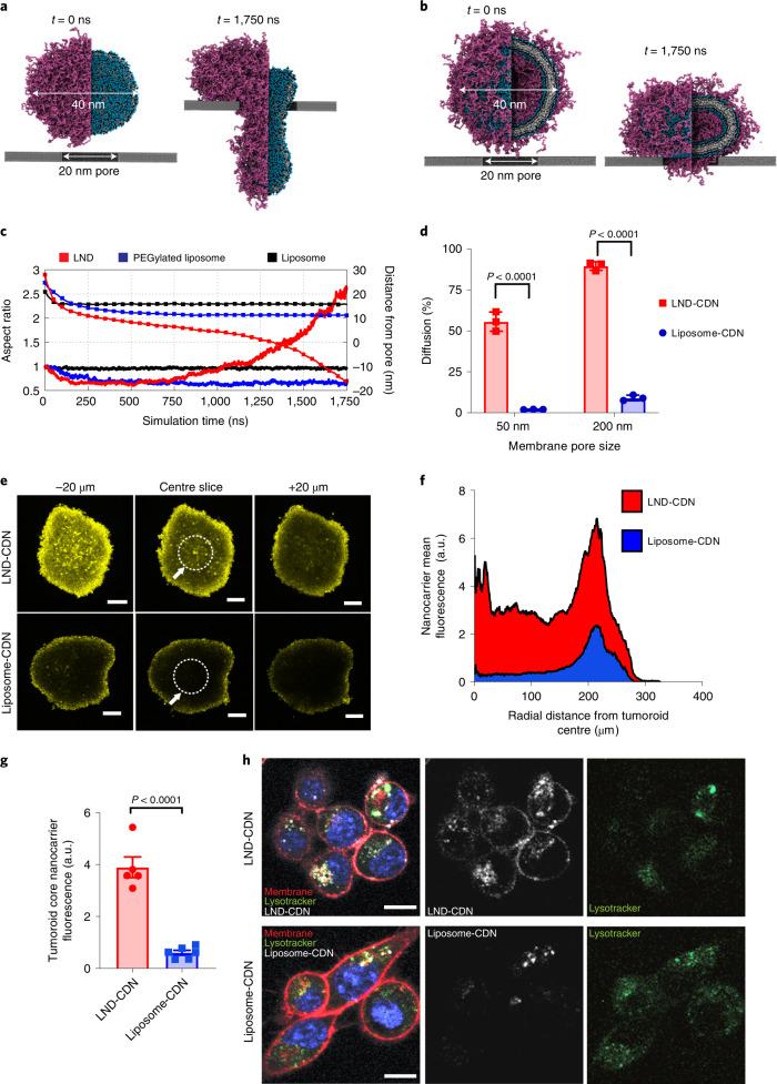 https://cdn.ncbi.nlm.nih.gov/pmc/blobs/f563/9156412/cd922e8fa34b/41563_2022_1251_Fig2_HTML.jpg