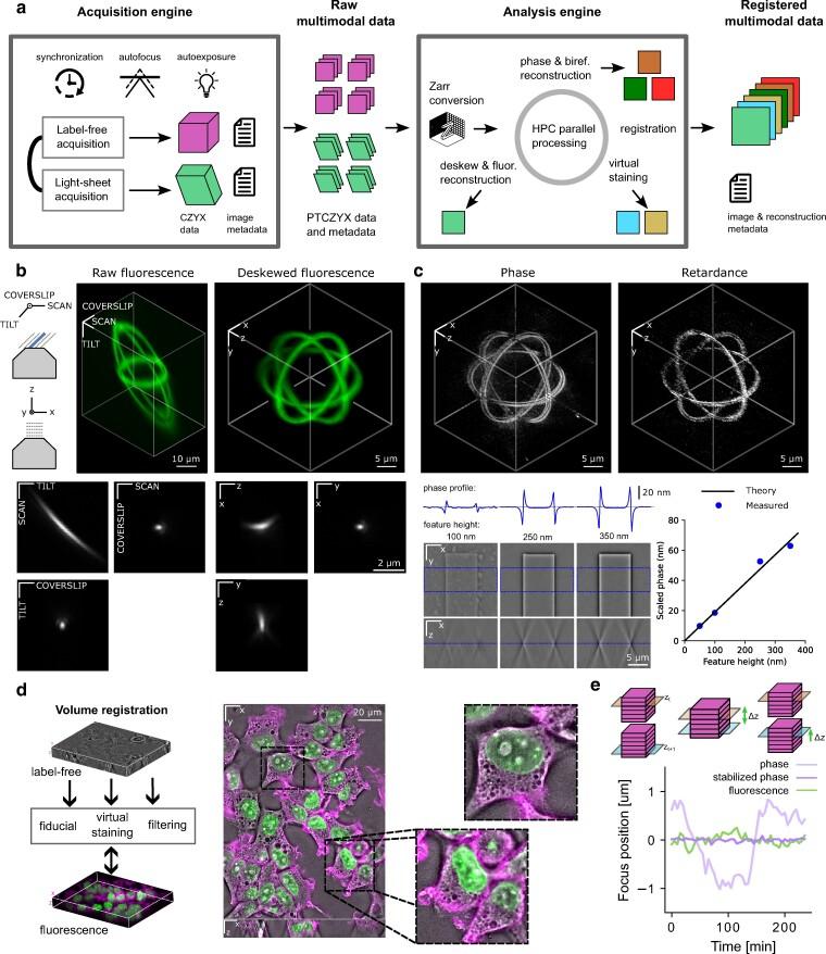 https://cdn.ncbi.nlm.nih.gov/pmc/blobs/f564/11393572/aac26c0fccec/pgae323f2.jpg