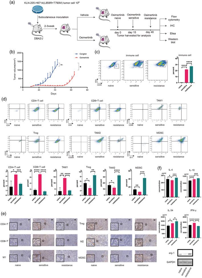 https://cdn.ncbi.nlm.nih.gov/pmc/blobs/f565/10317600/233cd4f28809/TCA-14-1843-g002.jpg