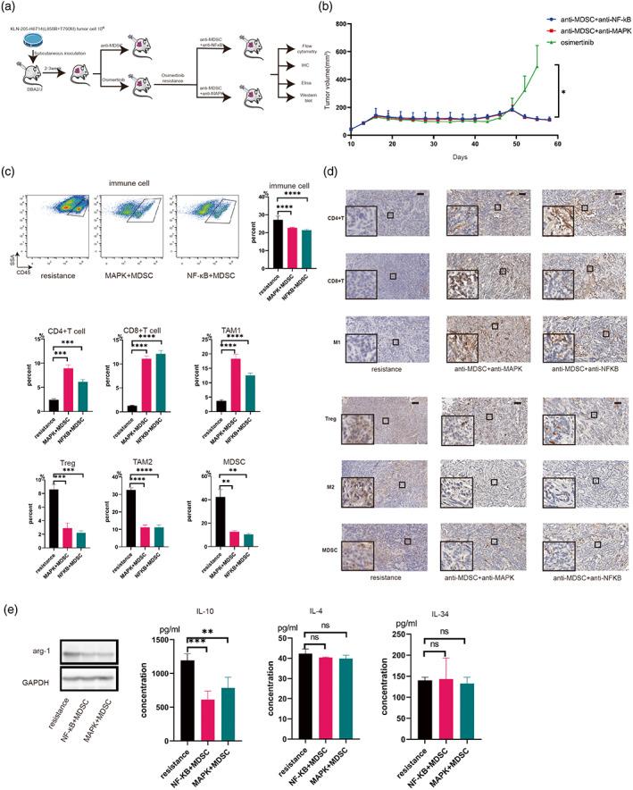 https://cdn.ncbi.nlm.nih.gov/pmc/blobs/f565/10317600/42bec4c9876a/TCA-14-1843-g001.jpg