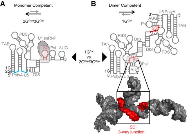 https://cdn.ncbi.nlm.nih.gov/pmc/blobs/f569/7266155/8761b6a621f9/708f01.jpg