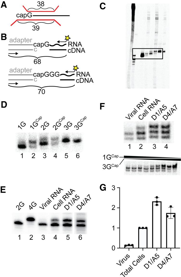 https://cdn.ncbi.nlm.nih.gov/pmc/blobs/f569/7266155/ca9bd2d50dfd/708f03.jpg