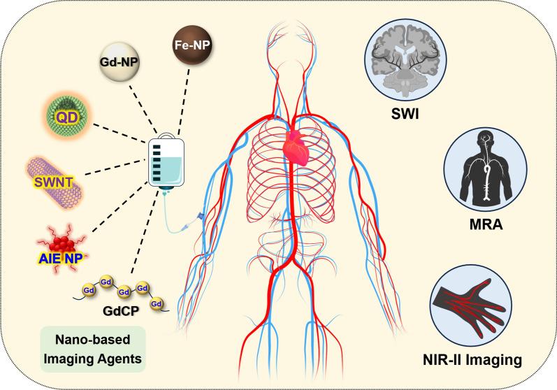 https://cdn.ncbi.nlm.nih.gov/pmc/blobs/f56b/11657597/73abe647eaf5/12951_2024_3042_Fig1_HTML.jpg