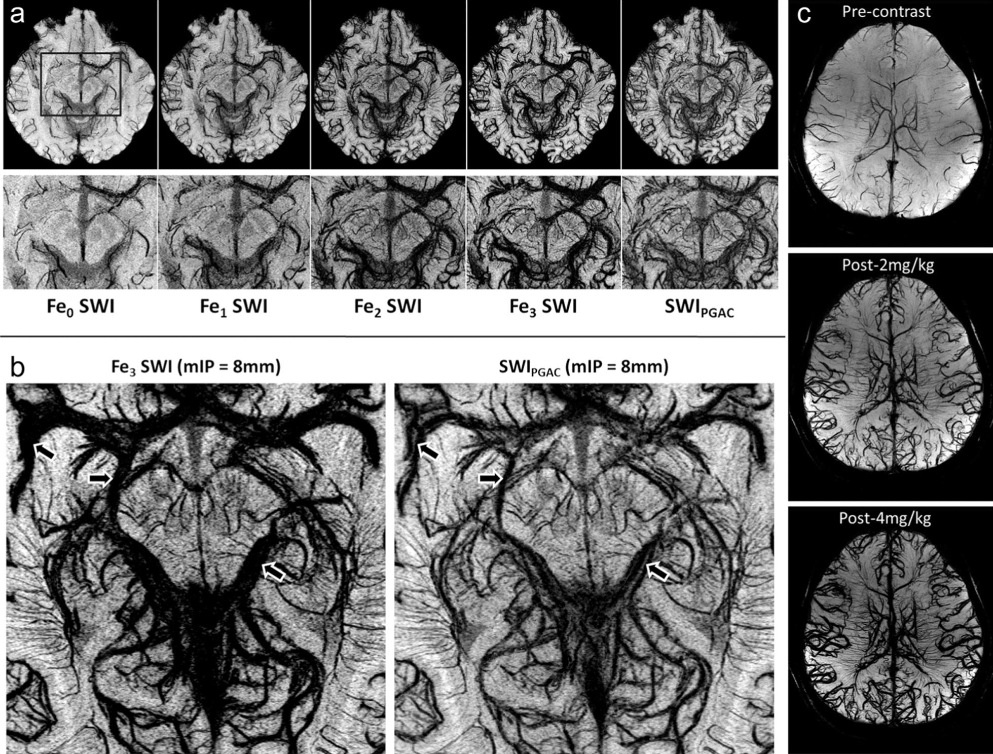https://cdn.ncbi.nlm.nih.gov/pmc/blobs/f56b/11657597/96f30ad4e891/12951_2024_3042_Fig7_HTML.jpg
