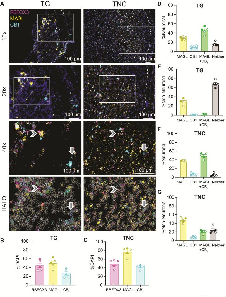 https://cdn.ncbi.nlm.nih.gov/pmc/blobs/f56c/12007319/53fb9af24716/10194_2025_2029_Fig4_HTML.jpg