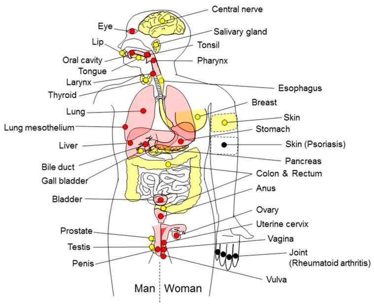 https://cdn.ncbi.nlm.nih.gov/pmc/blobs/f572/5412448/bfa9c00f7a63/ijms-18-00867-g001.jpg