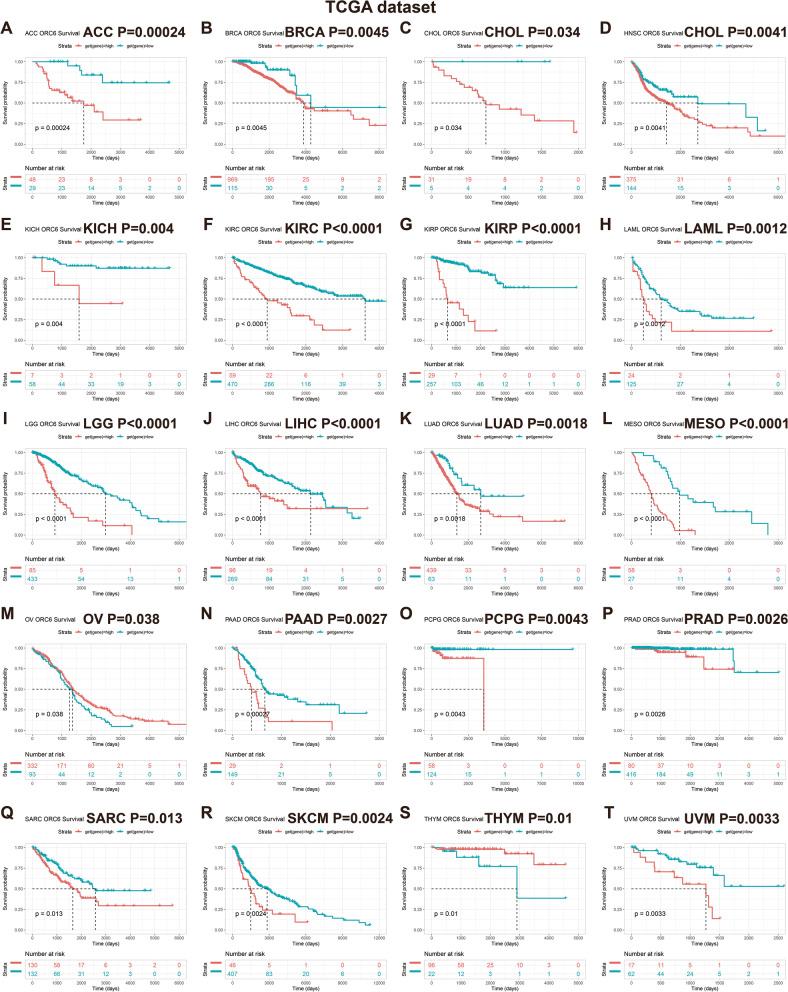 https://cdn.ncbi.nlm.nih.gov/pmc/blobs/f573/10053432/4a65d64ae4e9/12885_2023_10763_Fig3_HTML.jpg