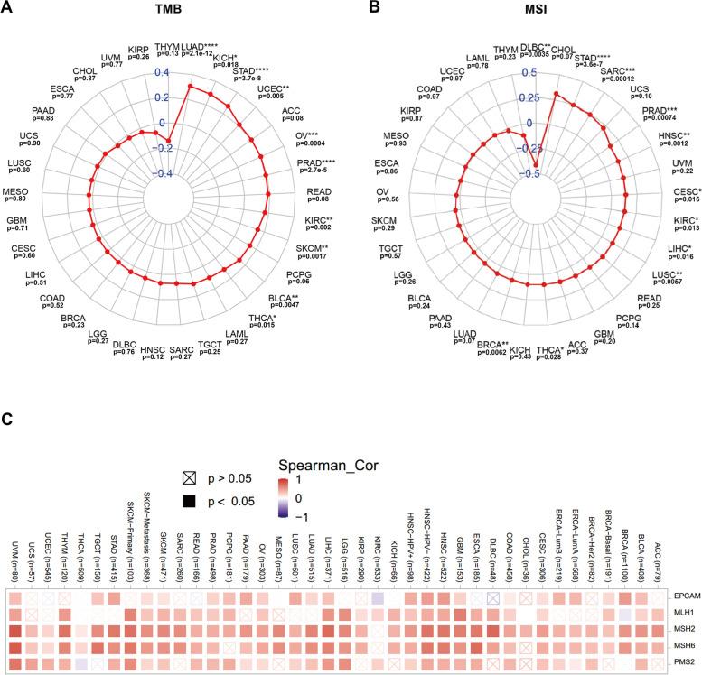 https://cdn.ncbi.nlm.nih.gov/pmc/blobs/f573/10053432/5968a43e34ae/12885_2023_10763_Fig5_HTML.jpg