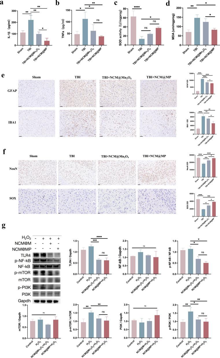 https://cdn.ncbi.nlm.nih.gov/pmc/blobs/f573/11320991/2b89525ca299/12951_2024_2753_Fig5_HTML.jpg