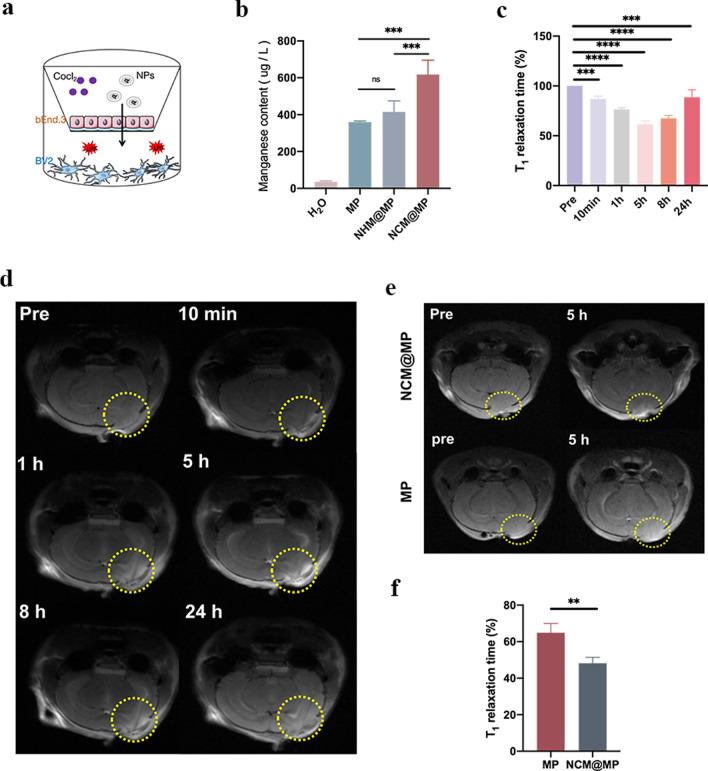 https://cdn.ncbi.nlm.nih.gov/pmc/blobs/f573/11320991/2c7a4a7597bb/12951_2024_2753_Fig3_HTML.jpg