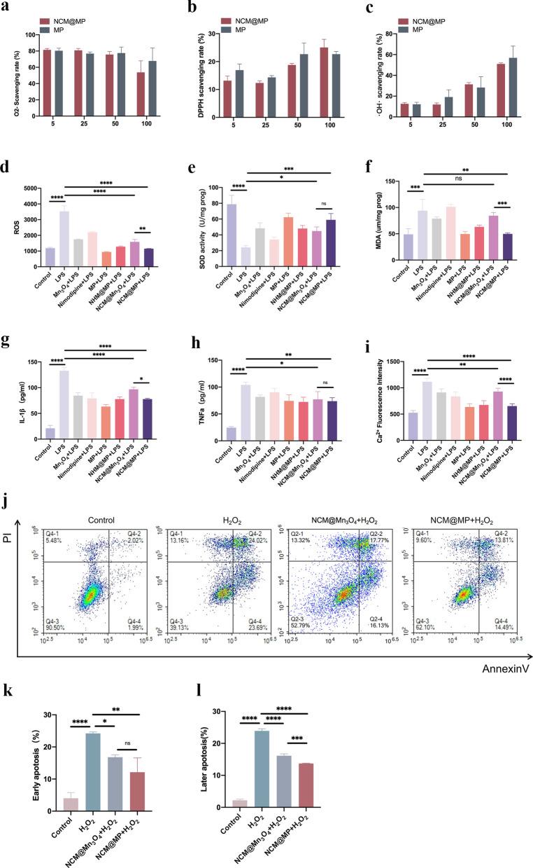 https://cdn.ncbi.nlm.nih.gov/pmc/blobs/f573/11320991/3fc3227df952/12951_2024_2753_Fig2_HTML.jpg