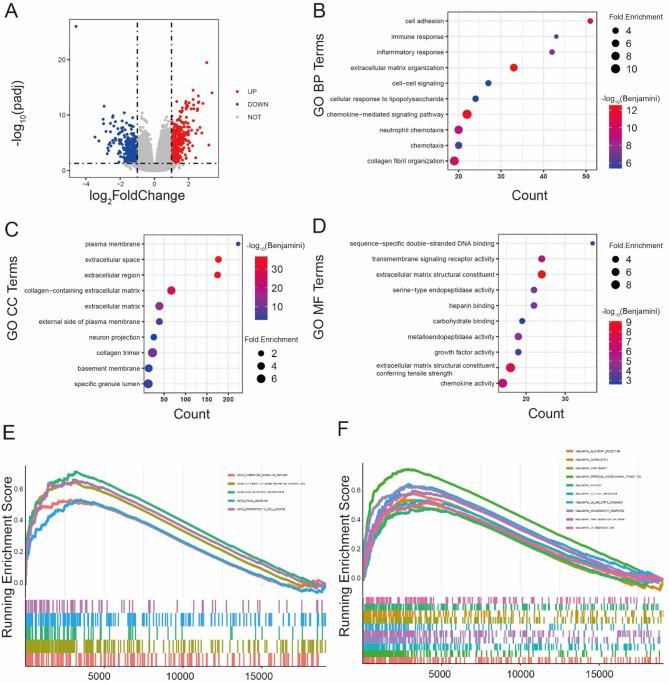 https://cdn.ncbi.nlm.nih.gov/pmc/blobs/f574/12182657/951d7aa6d28c/12935_2025_3875_Fig5_HTML.jpg
