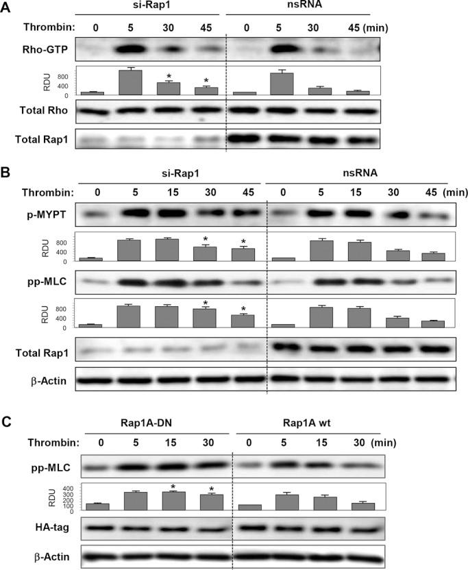 https://cdn.ncbi.nlm.nih.gov/pmc/blobs/f575/3756920/0b45089f7dfe/2678fig4.jpg