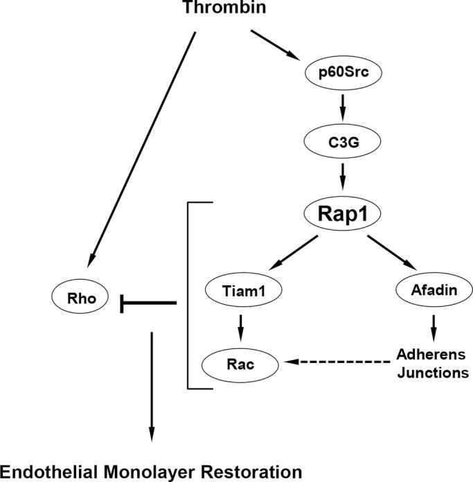 https://cdn.ncbi.nlm.nih.gov/pmc/blobs/f575/3756920/3e48cef97318/2678fig10.jpg