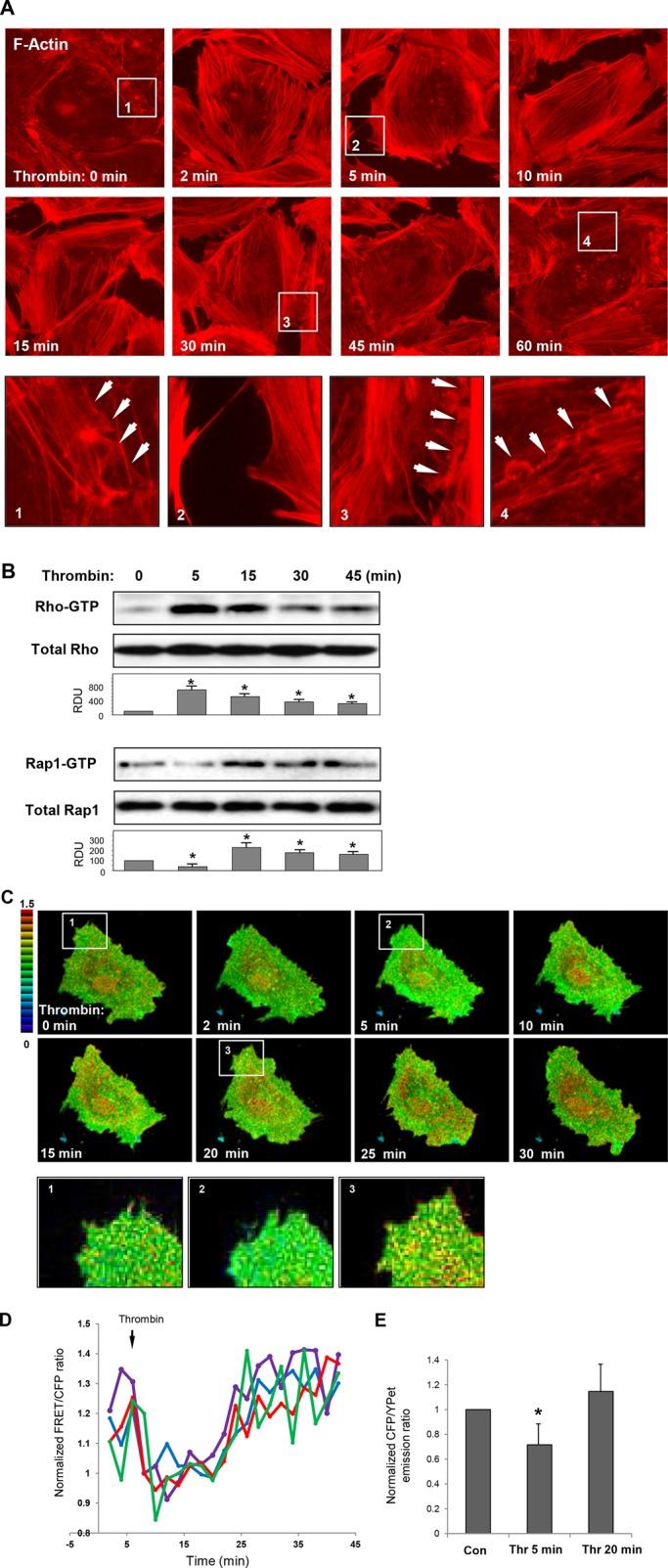 https://cdn.ncbi.nlm.nih.gov/pmc/blobs/f575/3756920/4fc5ac3b480a/2678fig1.jpg
