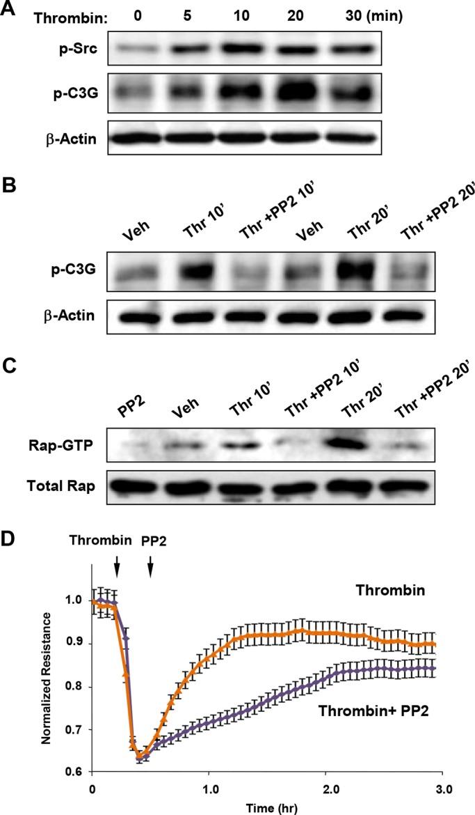 https://cdn.ncbi.nlm.nih.gov/pmc/blobs/f575/3756920/d10c7faf656c/2678fig2.jpg
