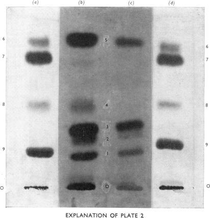 https://cdn.ncbi.nlm.nih.gov/pmc/blobs/f576/1163950/152834438850/biochemj00528-0161-a.jpg