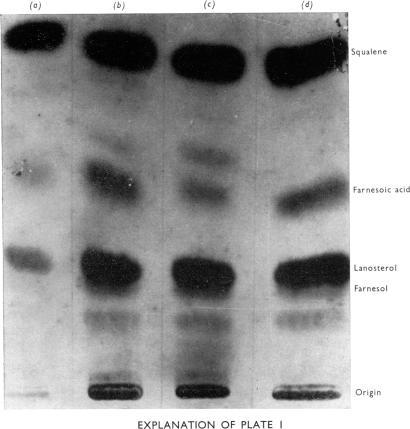 https://cdn.ncbi.nlm.nih.gov/pmc/blobs/f576/1163950/faa3a8f9fba5/biochemj00528-0160-a.jpg
