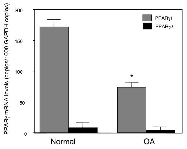 https://cdn.ncbi.nlm.nih.gov/pmc/blobs/f576/1906809/fa66a025a6f2/ar2151-2.jpg