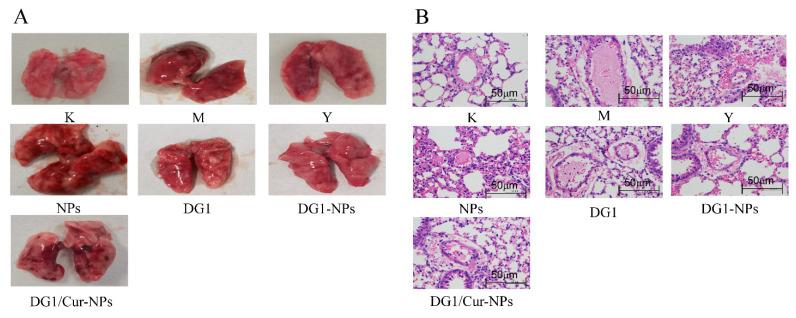 https://cdn.ncbi.nlm.nih.gov/pmc/blobs/f576/8879524/2411379074b5/marinedrugs-20-00136-g004.jpg