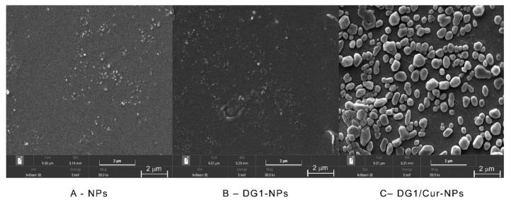https://cdn.ncbi.nlm.nih.gov/pmc/blobs/f576/8879524/63d40181b195/marinedrugs-20-00136-g001.jpg