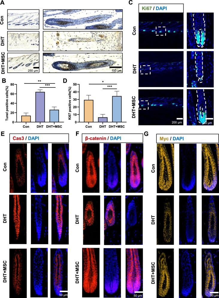 https://cdn.ncbi.nlm.nih.gov/pmc/blobs/f578/11575167/1d8c372ef29a/13287_2024_4051_Fig3_HTML.jpg