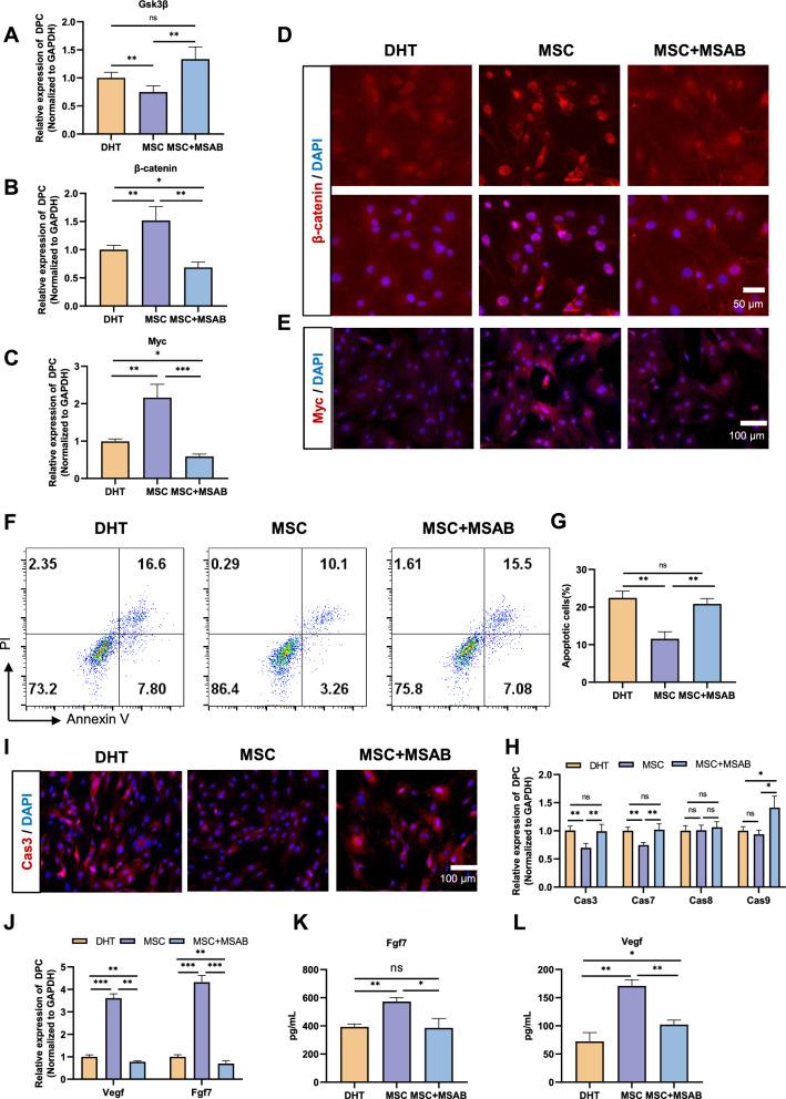 https://cdn.ncbi.nlm.nih.gov/pmc/blobs/f578/11575167/2b76085c0308/13287_2024_4051_Fig6_HTML.jpg