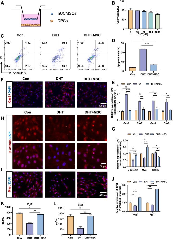 https://cdn.ncbi.nlm.nih.gov/pmc/blobs/f578/11575167/75d7c5147094/13287_2024_4051_Fig4_HTML.jpg