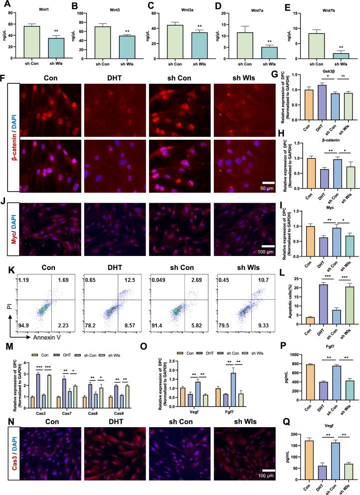 https://cdn.ncbi.nlm.nih.gov/pmc/blobs/f578/11575167/804534b8b2ed/13287_2024_4051_Fig5_HTML.jpg