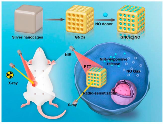 https://cdn.ncbi.nlm.nih.gov/pmc/blobs/f578/12293111/7e49bcb01c65/cancers-17-02295-g003.jpg