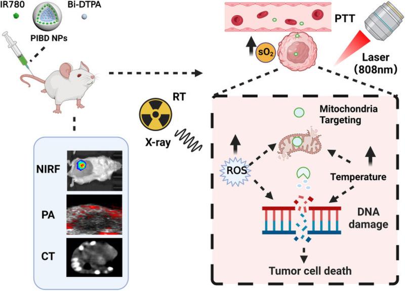 https://cdn.ncbi.nlm.nih.gov/pmc/blobs/f578/12293111/ea9b5a80a0ef/cancers-17-02295-g006.jpg