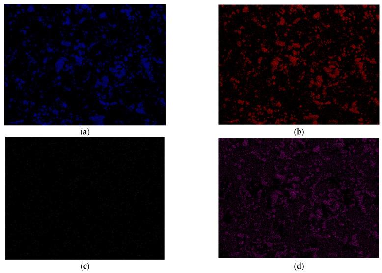 https://cdn.ncbi.nlm.nih.gov/pmc/blobs/f579/10180150/eb2d9cd35190/nanomaterials-13-01469-g009.jpg