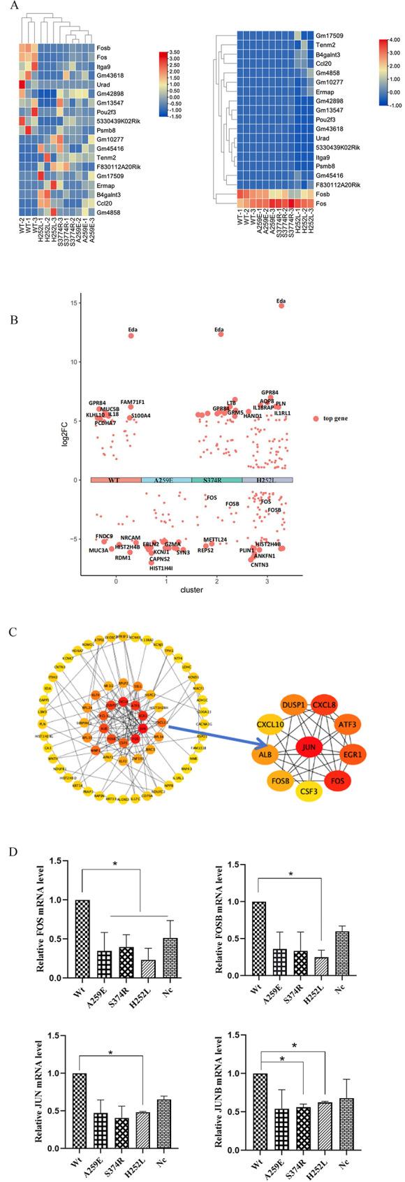https://cdn.ncbi.nlm.nih.gov/pmc/blobs/f579/11890513/4494d74b2345/12903_2025_5741_Fig4_HTML.jpg