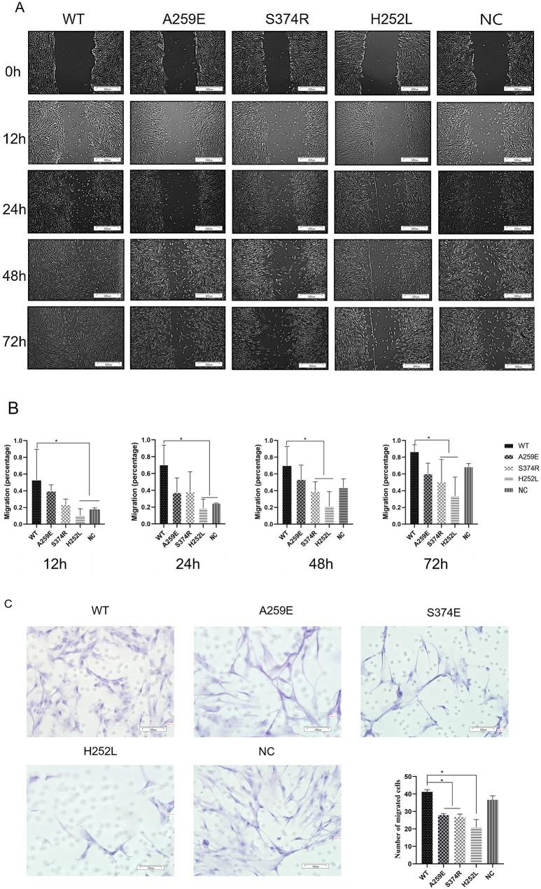 https://cdn.ncbi.nlm.nih.gov/pmc/blobs/f579/11890513/73e8e3b41409/12903_2025_5741_Fig2_HTML.jpg