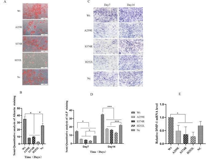 https://cdn.ncbi.nlm.nih.gov/pmc/blobs/f579/11890513/80ab6fd21467/12903_2025_5741_Fig3_HTML.jpg