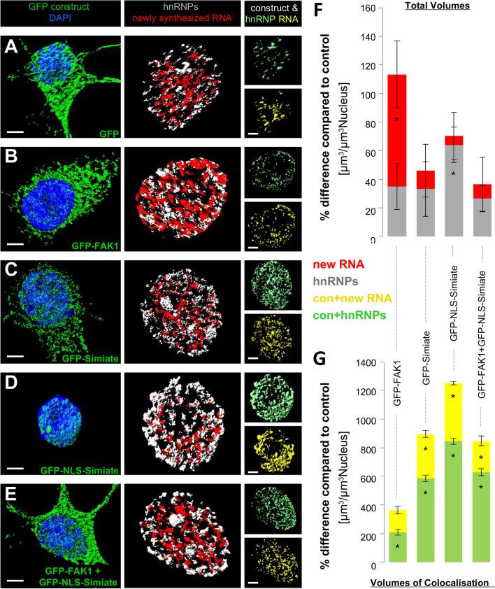 https://cdn.ncbi.nlm.nih.gov/pmc/blobs/f57b/9253104/7b308f79ad76/41598_2022_14460_Fig12_HTML.jpg