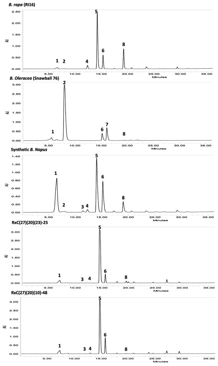 https://cdn.ncbi.nlm.nih.gov/pmc/blobs/f57d/3607083/c654ddabe8cf/fpls-04-00055-g004.jpg