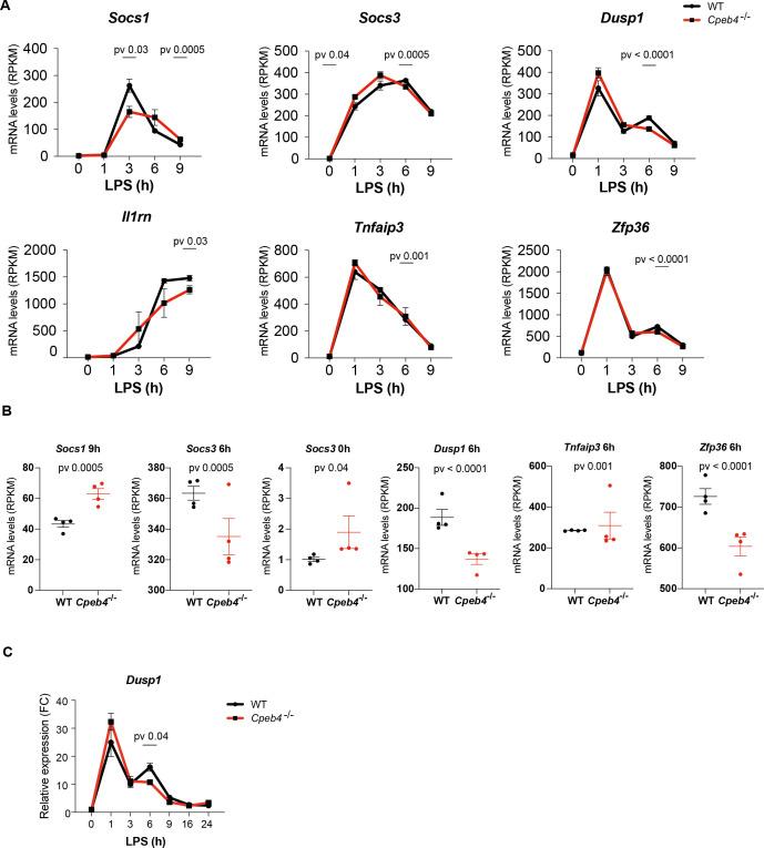 https://cdn.ncbi.nlm.nih.gov/pmc/blobs/f57e/9094754/63fbf0b67577/elife-75873-fig4-figsupp2.jpg