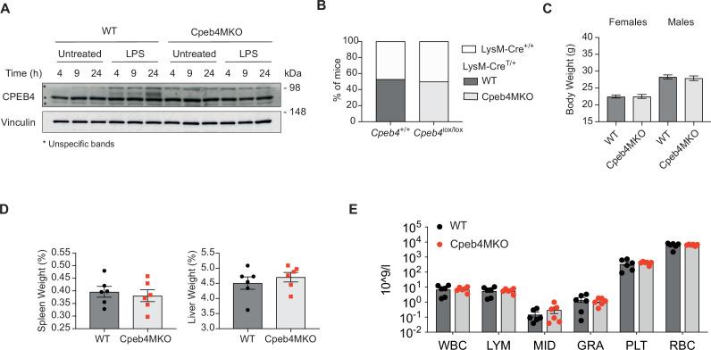 https://cdn.ncbi.nlm.nih.gov/pmc/blobs/f57e/9094754/8c889894a597/elife-75873-fig1-figsupp2.jpg