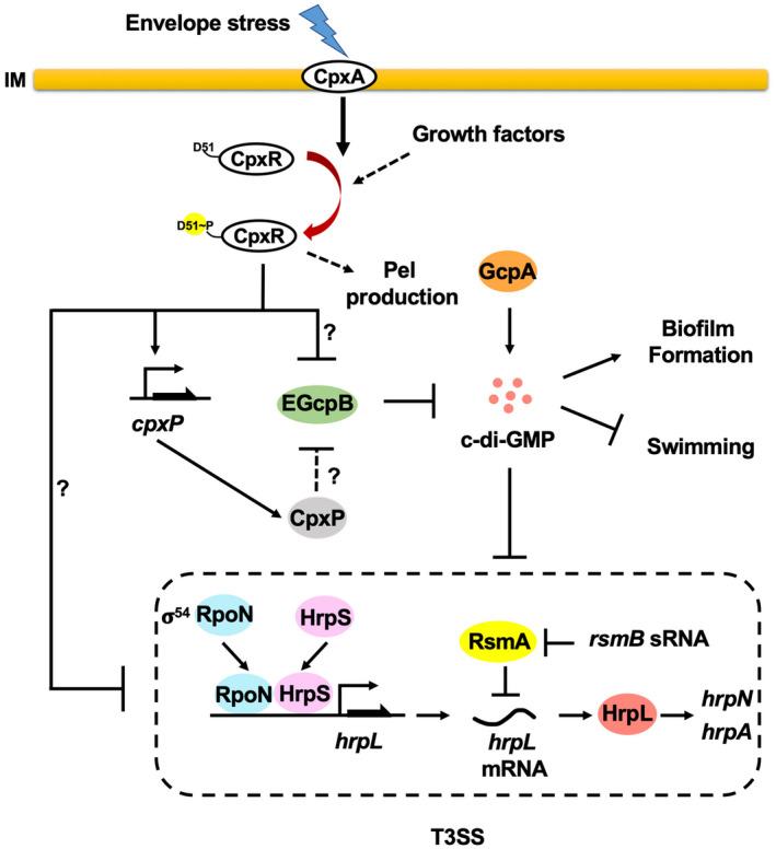 https://cdn.ncbi.nlm.nih.gov/pmc/blobs/f57e/9276944/4f6a2b3e53e0/MPP-23-1187-g001.jpg