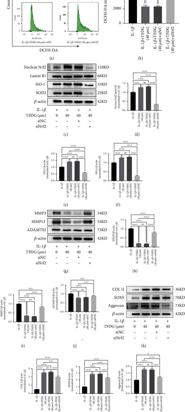 https://cdn.ncbi.nlm.nih.gov/pmc/blobs/f57e/9286955/02c9fb9b5218/OMCL2022-3047425.005.jpg